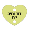 ⁦תליון לב⁩ – תמונה ⁦8⁩